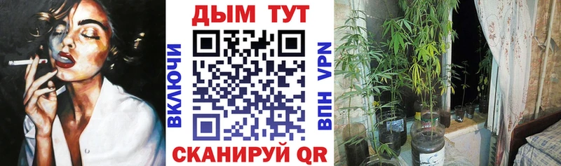Купить наркотики Урус-Мартан БУТИРАТ  Меф  Псилоцибиновые грибы  ГАШИШ  Каннабис 